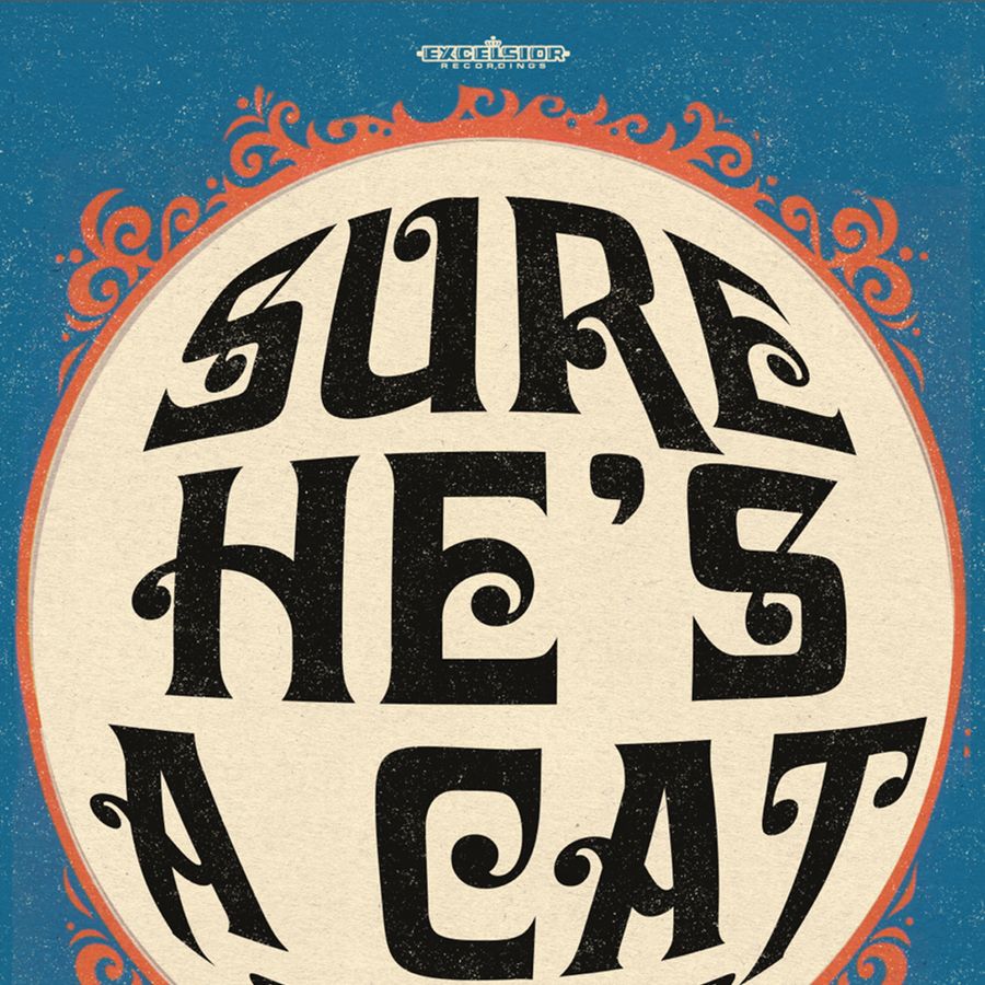 Poster Sure He's A Cat - Tribute to the cats