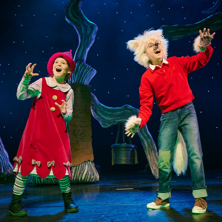 Theaterweekend scenefoto Dolfje en Foeksia