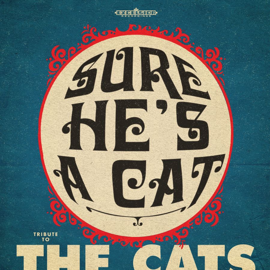 Poster Sure He's A Cat - Tribute to the cats