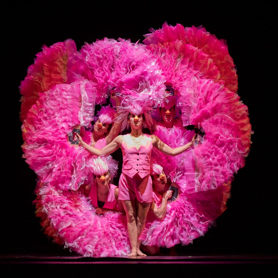 Dansers voor een zwarte achtergrond met roze doeken, ze beelden een flamingo uit