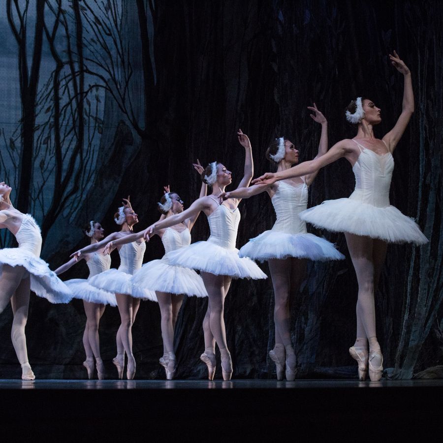 Allemaal ballerina's op een rij. Links van hen de danseres die de mooie zwaan voorstelt.