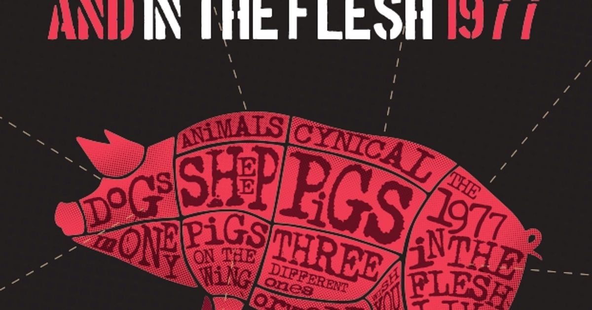 Pink Floyd Project — 50 Years Of Animals & In The Flesh Tour